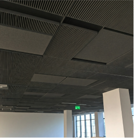 Acoustic Ceiling Tiles