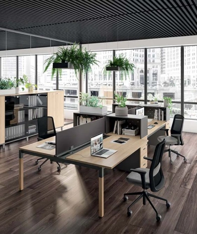 Innovative Office Interior Design for Productivity and Style