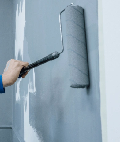 Explore premium paints for beautiful, durable home finishes.