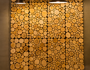 Wall Paneling for your stylish home